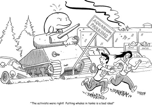"The activists were right!  Putting whales in tanks is a bad idea!"