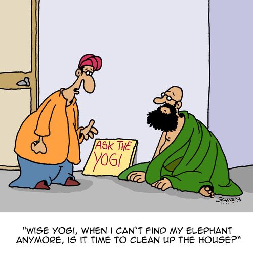 "Wise yogi, when I can't find my elephant anymore, is it time to clean up the house?"