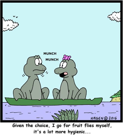 "Given the choice, I go for fruit flies myself, it's a lot more hygienic..."