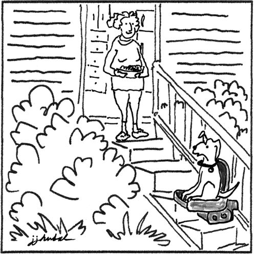 Dog on a stair-lift.