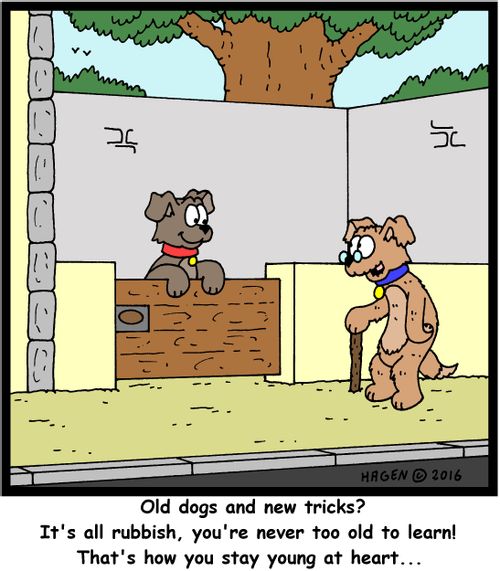 Old dogs and new tricks? It's all rubbish, you're never too old to learn! That's how you stay young at heart...