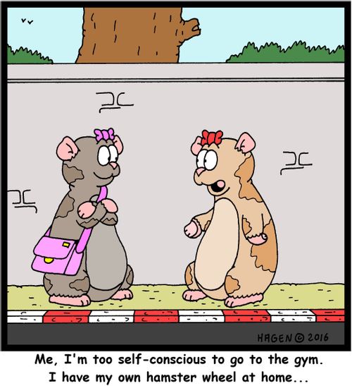 "Me, I'm too self-conscious to go to the gym. I have my own hamster wheel at home..."