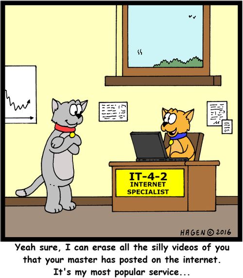 "Yeah sure, I can erase all the silly videos of you that your master has posted on the internet. It's my most popular service..."