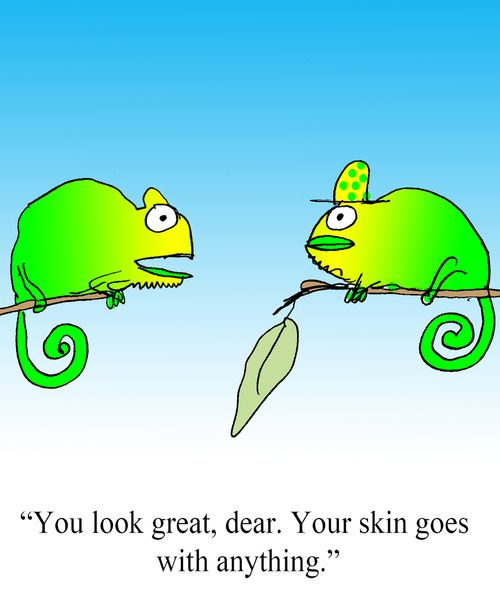 "You look great, dear. Your skin goes with anything."