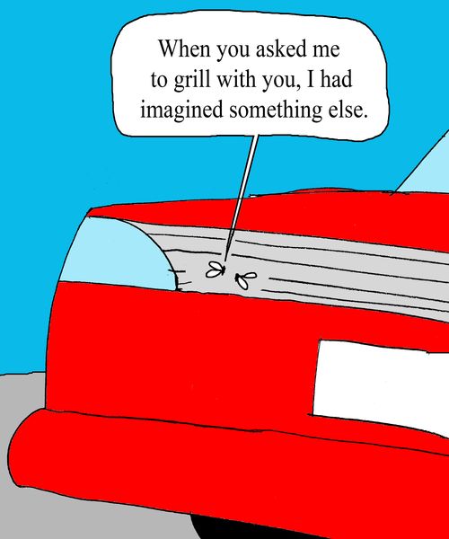 "When you asked me tp grill with you, I had imagined something else."