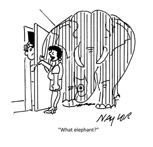 "What elephant?"