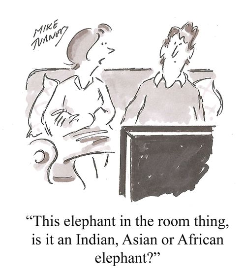 "This elephant in the room thing, is it an Indian, Asian or African elephant?"