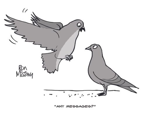 Messenger Pigeons