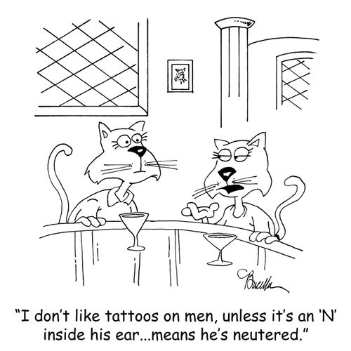 "I don't like tattoos on men, unless it's an 'N' inside his ear...means he's neutered."