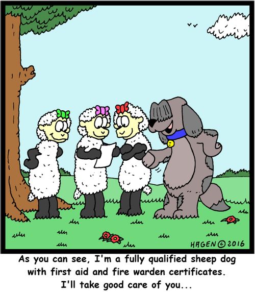 "As you can see, I'm a fully qualified sheep dog with first aid and fire warden certificates. I'll take good care of you..."