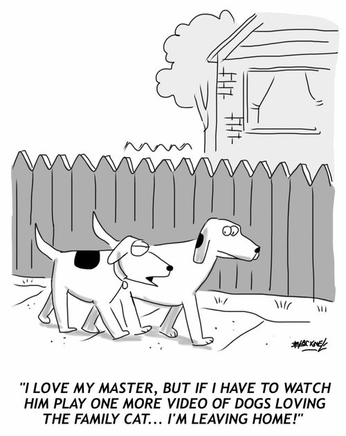 "I love my master, but if I have to watch him play one more video of dogs loving the family cat...I'm leaving home!"