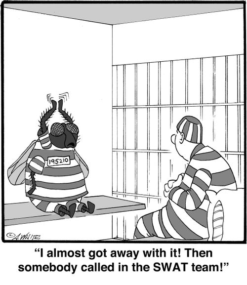 "I almost got away with it! Then somebody called in the SWAT team!"