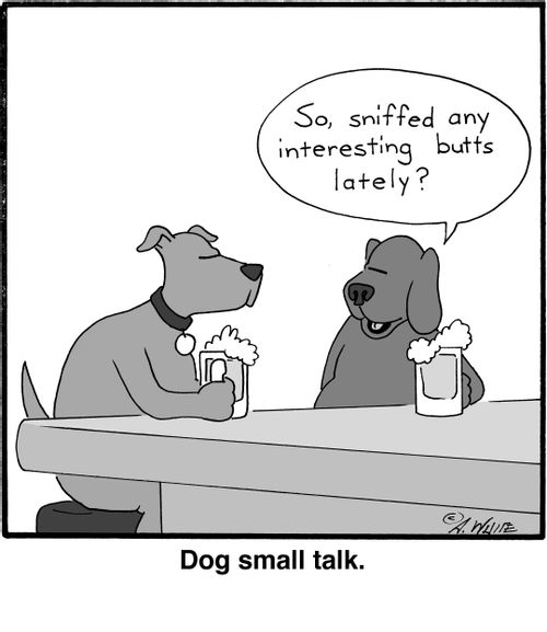 "So, sniffed any interesting butts lately?"