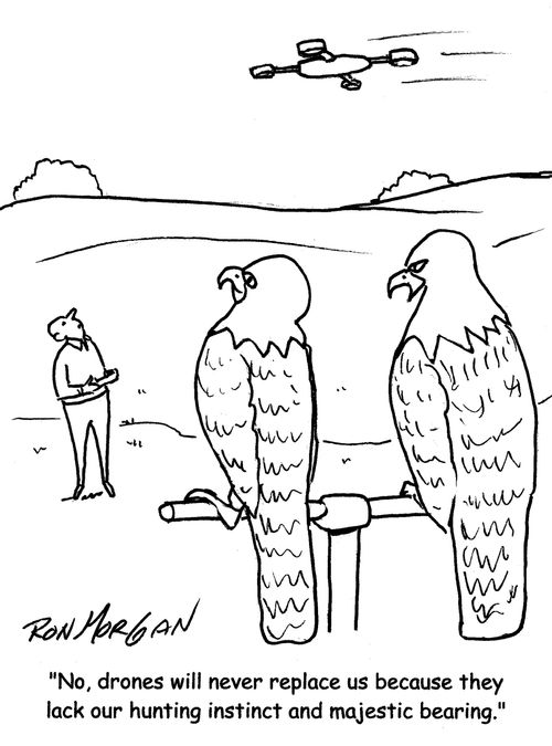 "No, drones will never replace us because they lack our hunting instinct and majestic bearing."