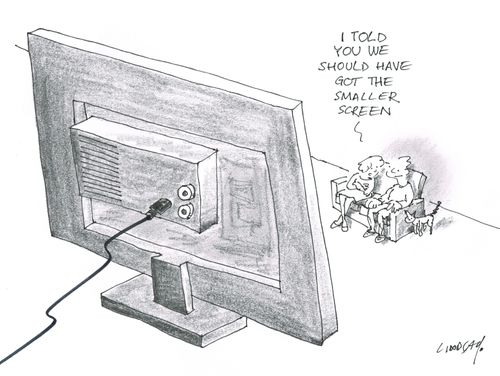 "I told you we should have got the smaller screen."