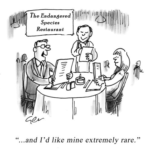 Endangered Species restaurant