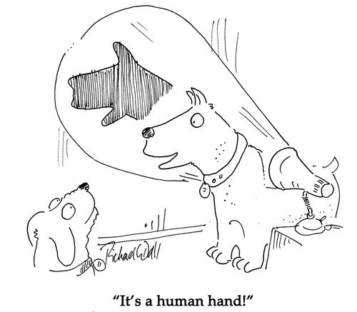 "It's a human hand!"