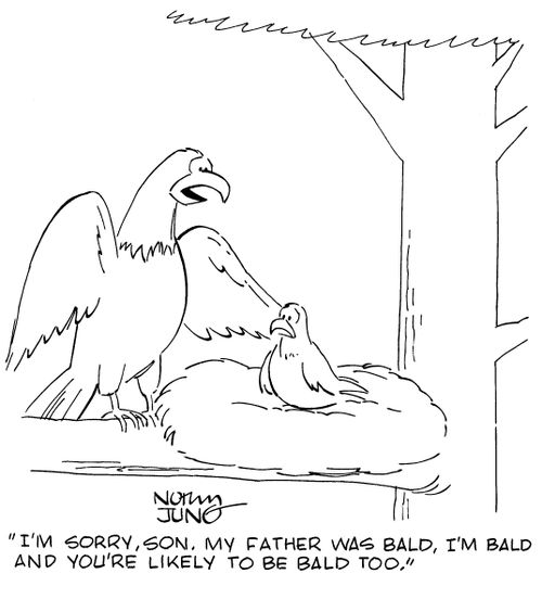 "I'm sorry, son. My father was bald, I'm bald and you're likely to be bald too."
