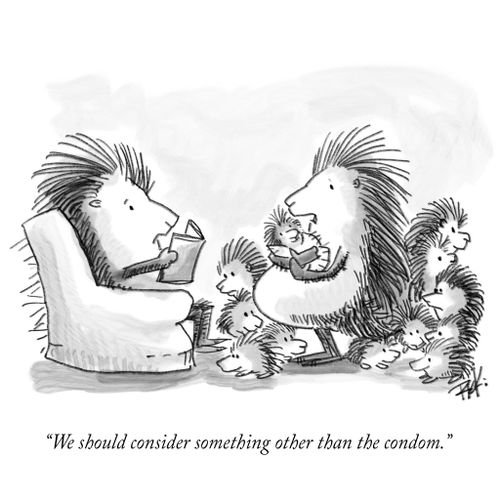 "We should consider something other than the condom."