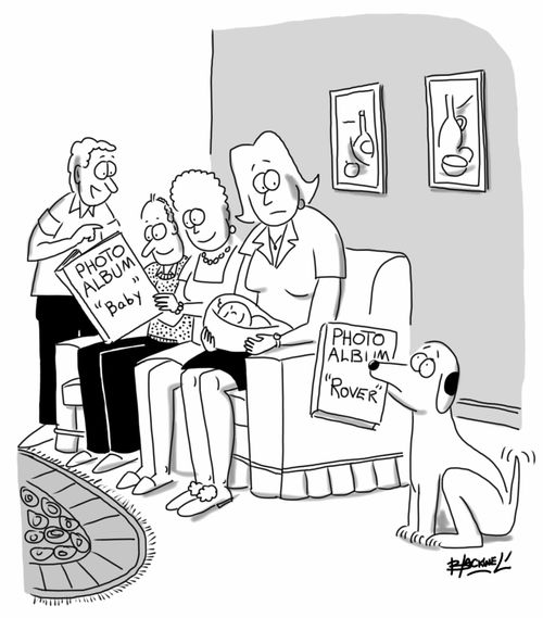 The family dog feels neglected because of the attention given to the new baby.