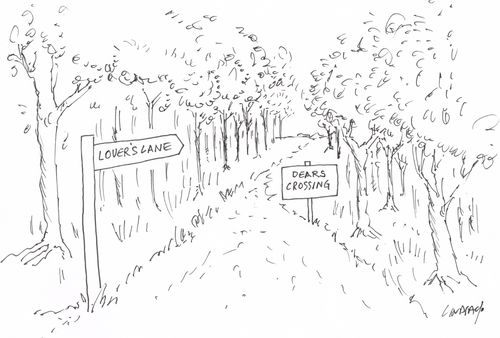 Lover's Lane. Dears crossing.