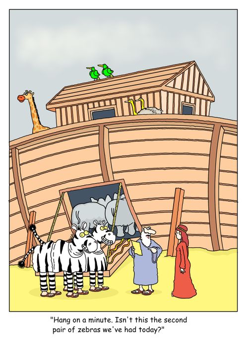 "Hang on, isn't this the second pair of zebras we've had today?"