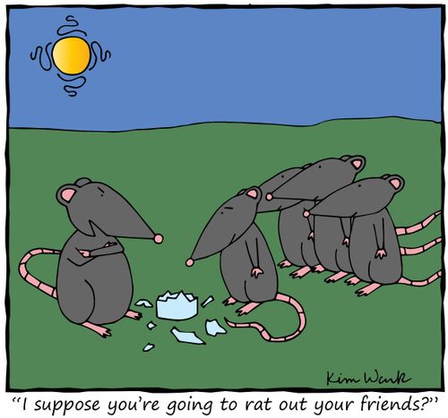 "I suppose you're going to rat out your friends?"