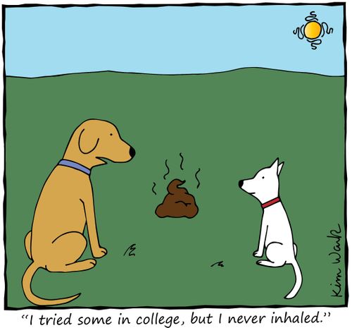 "I tried some in college, but I never inhaled."