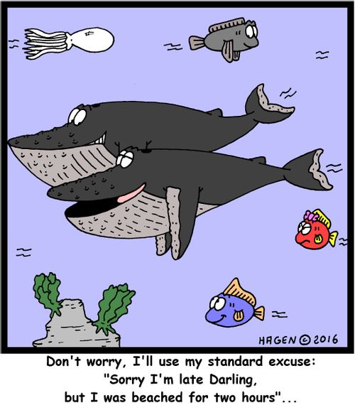 Don't worry, I'll use my standard excuse: "Sorry I'm late Darling, but I was beached for two hours"...