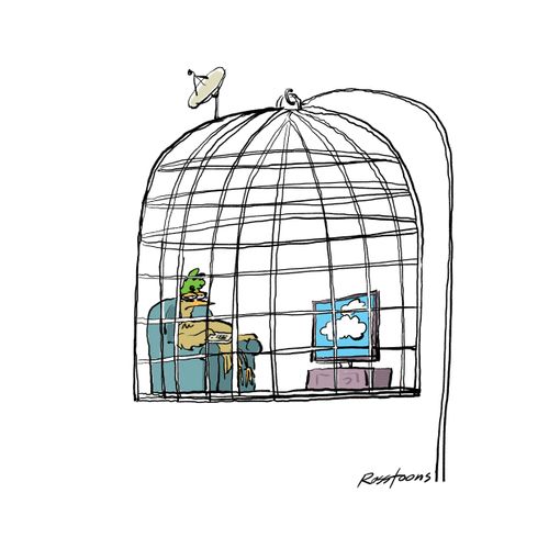 Bird trapped in a cage with television.