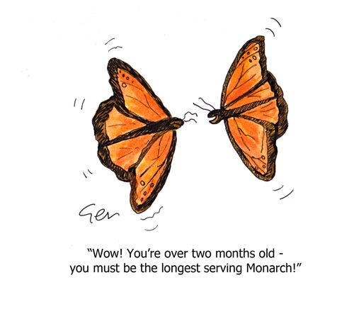 "Wow! You're over two months old - you must be the longest serving Monarch!"