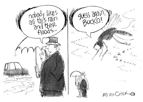 "Nobody likes all this rain and these floods."