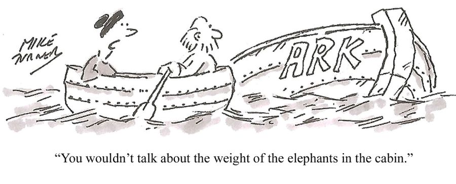 "You wouldn't talk about the weight of the elephants in the cabin."