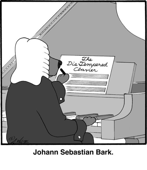 Johann Sebastian Bark.