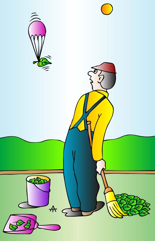 Man sweeping leaves watches a leaf float off.