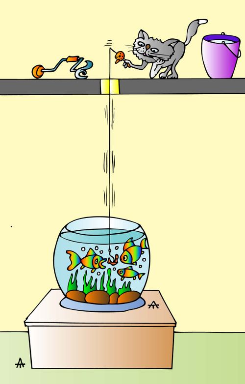 A house cat fishes in a goldfish bowl