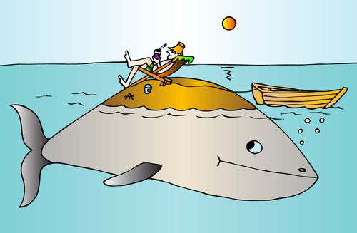 A man relaxes in a folding chair on the back of a whale.