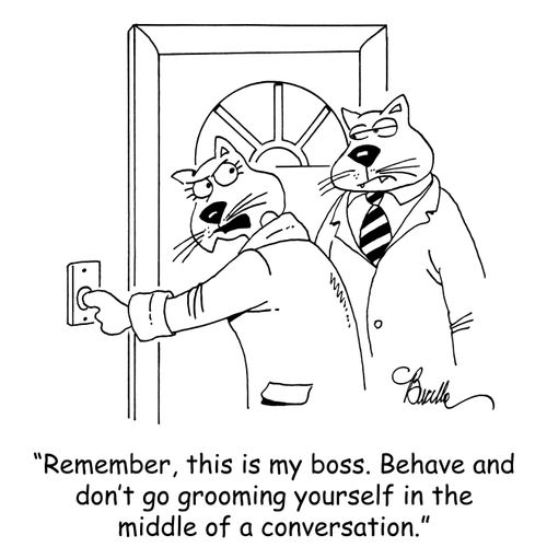 "Remember, this is my boss. Behave and don't go grooming yourself in the middle of a conversation."