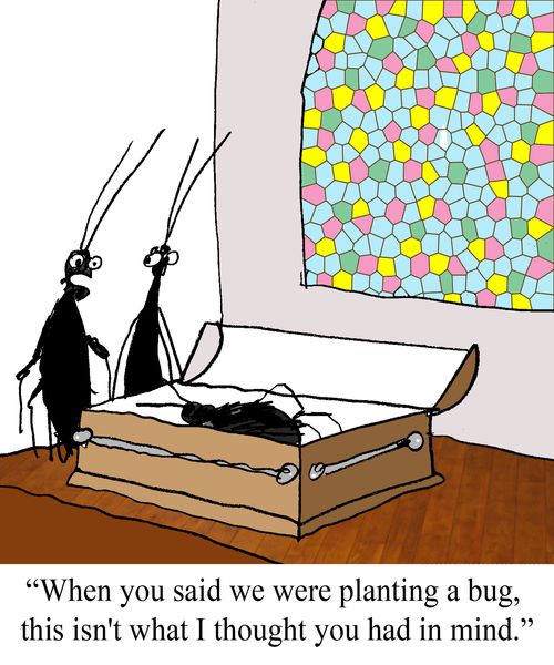 'When you said we were planting a bug, this isn't what I thought you had in mind."