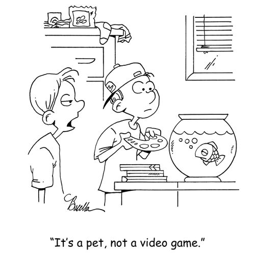 "It's a pet, not a video game."