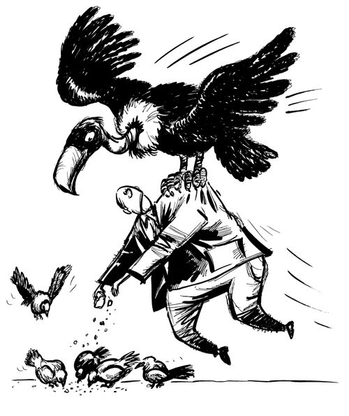 A man feeding birds is caught by a vulture.