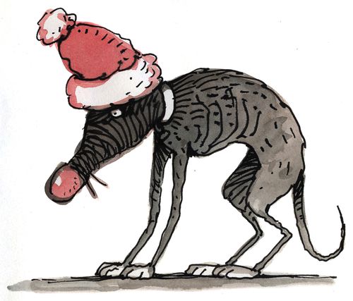 A Skinny Dog With Santa Hat And Red Nose