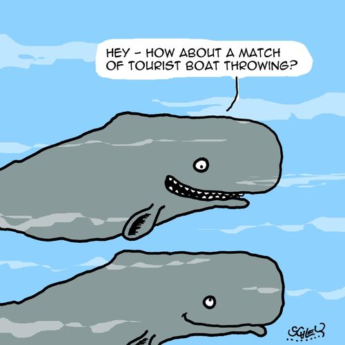 "Hey - how about a match of tourist boat throwing?"