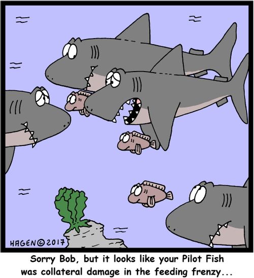 "Sorry Bob, but it looks like your Pilot Fish was collateral damage in the feeding frenzy..."
