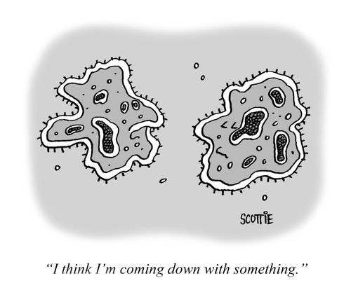 "I think I'm coming down with something."
