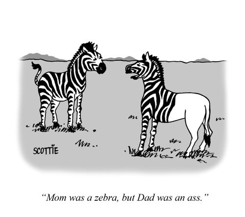 "Mom was a zebra, but Dad was an ass."