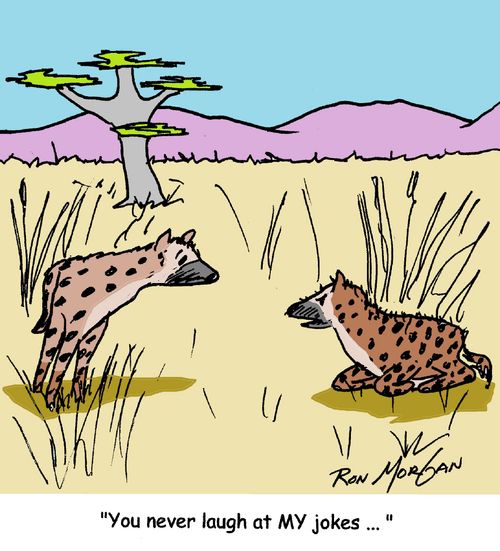 "You never laugh at my jokes."