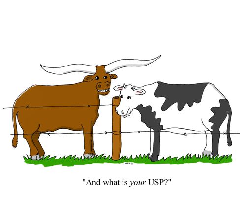 'And what is your USP?"