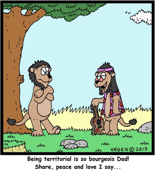 "Being territorial is so bourgeois Dad! Share, peace and love I say..."