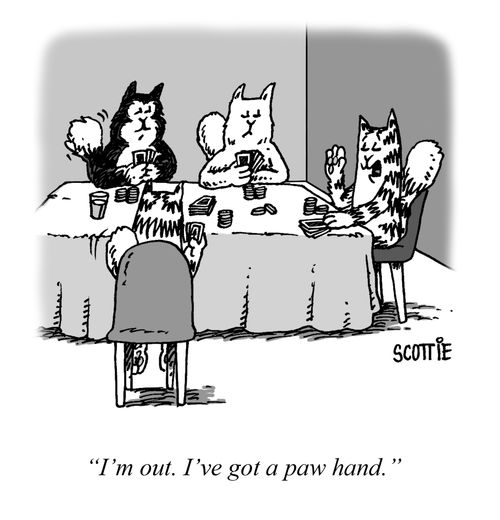 "I'm out. I've got a paw hand." 
